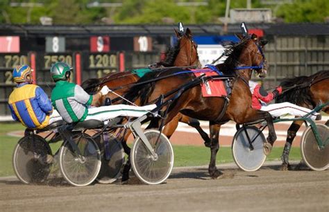 how to bet harness racing.